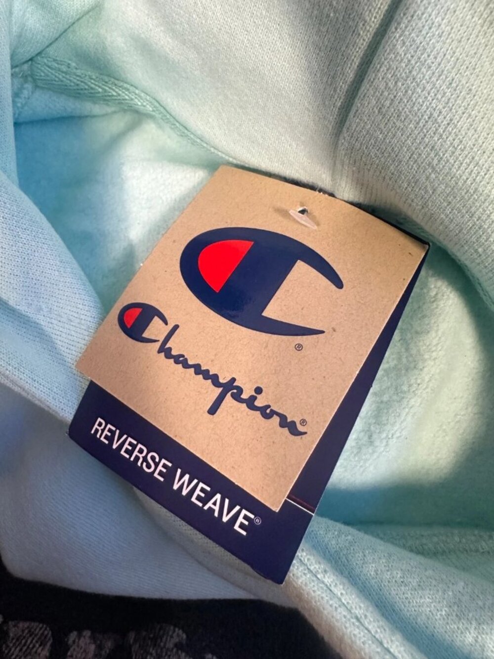 NWT Champion Reverse Weave Cropped Hooded Sweatshirt Blue Oversized Hoodie XS S - Picture 4 of 8